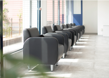 床の上に座って上を見上げる猫