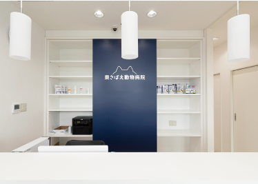 獣医とカウンセリングしている写真