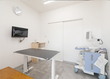 診察を受けている黒い子犬