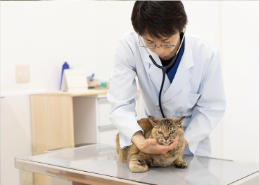 ベランダでおすわりしている犬