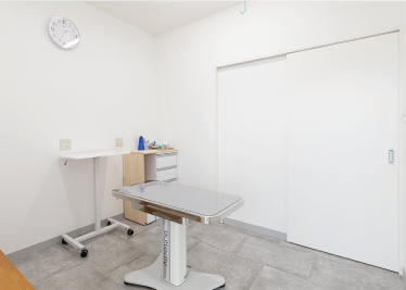 散歩している犬