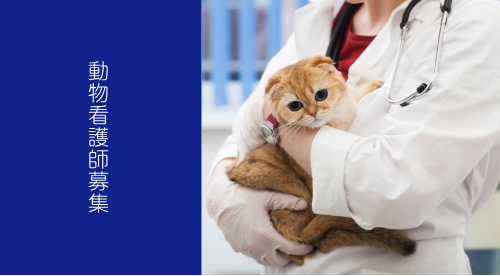 動物看護師募集