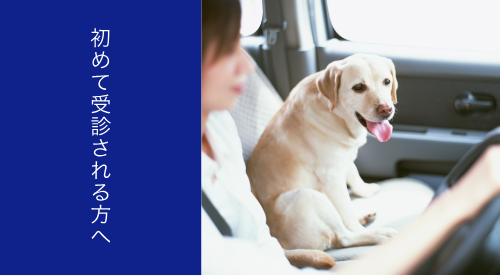 初めて受診される方へ